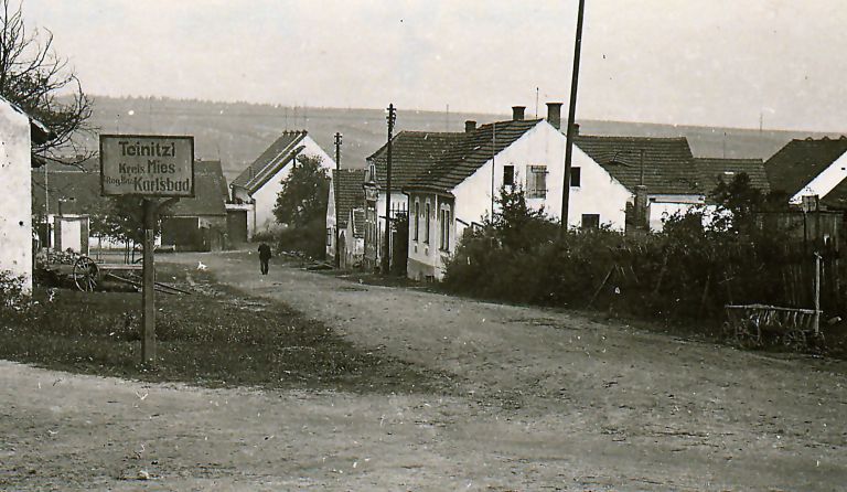 Teinitzl40